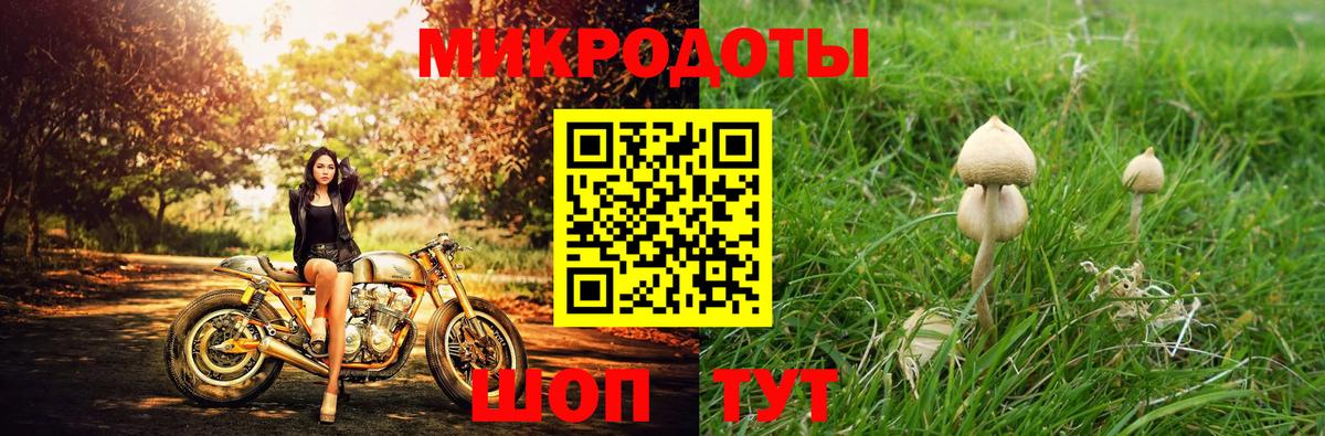 Балашиха  Галлюциногенные грибы мицелий  Вход с VPN 